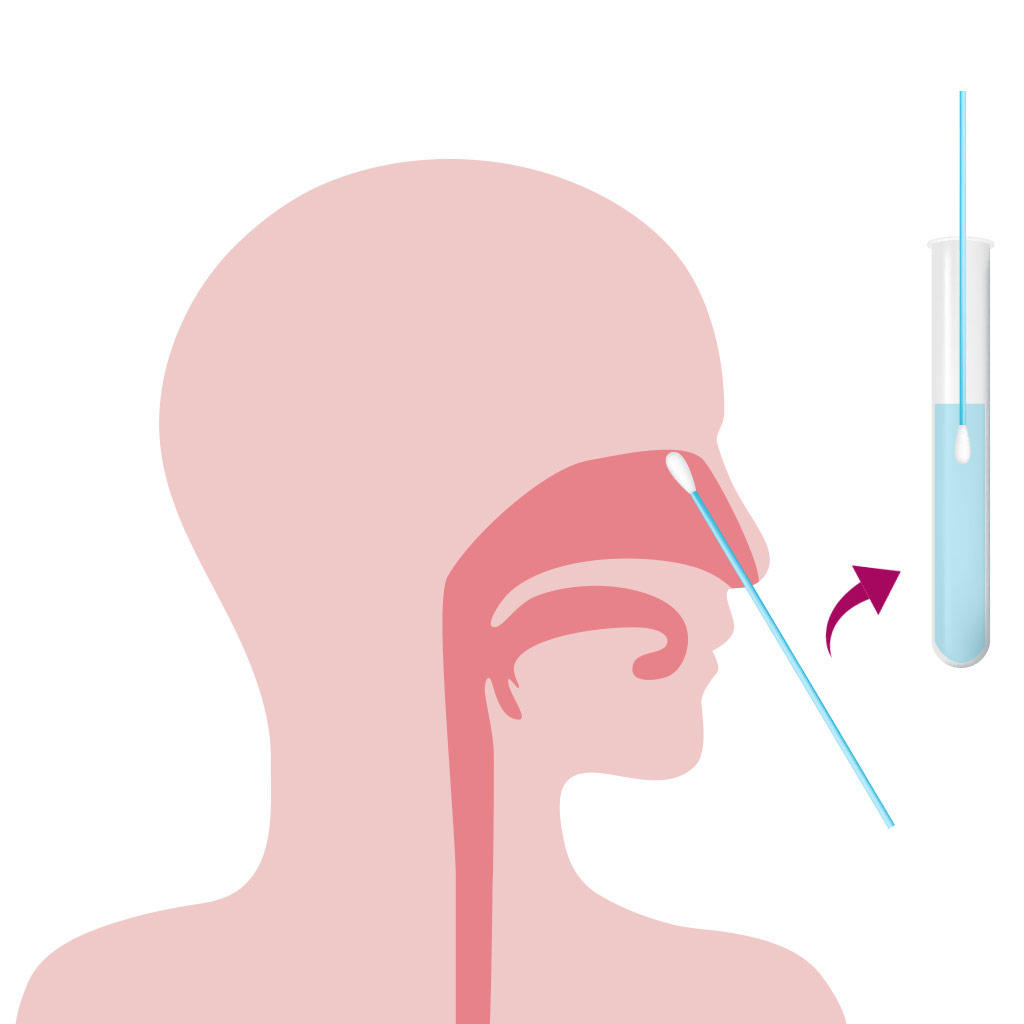 Nexsun Labs PCR vs Antigen test Nose nasal swab test