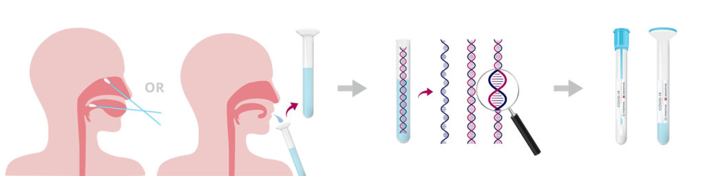 Nexsun Labs PCR vs Antibody How Is the Sample Taken?